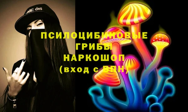 метадон Алексеевка