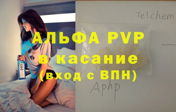 стафф Алзамай