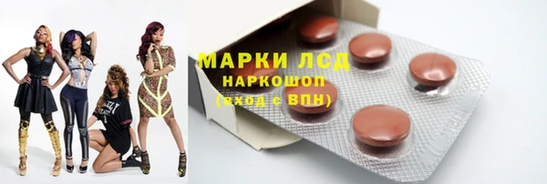 стафф Алзамай