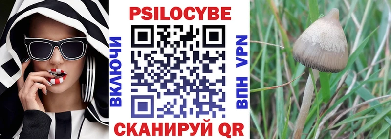 Галлюциногенные грибы мицелий  Краснознаменск 